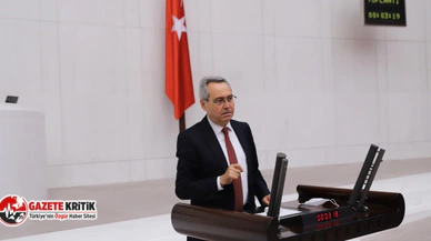 CHP'li Rafet Zeybek: Yanan ağaçlar değil, sağlam ağaçlar mı kesiliyor?