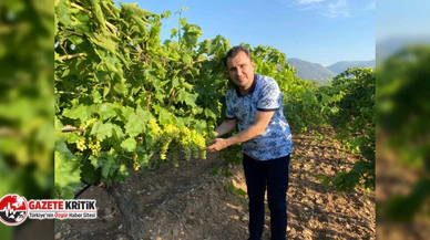 CHP’li Başevirgen, “Üzüm fiyatları geç kalınmadan ve üreticinin emeğini karşılayacak şekilde açıklanmalı”