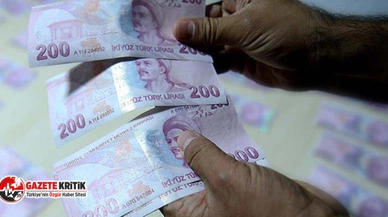 En büyük kağıt para 200 TL, tedavüle girmesinden bu yana yüzde 647 eridi
