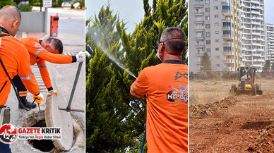 Mersin Büyükşehir haşere ile mücadeleye hız verdi
