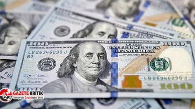 Dolar, yeni haftaya rekorla başladı