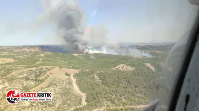 Adana’da orman yangını!