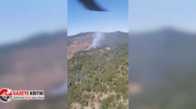 Adana'da orman yangını