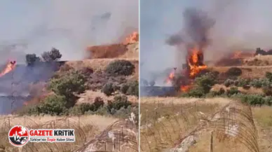 Hatay'da orman yangını!
