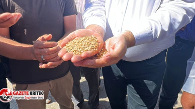 KARASU: 1 KG BUĞDAY, 1 BARDAK ÇAY ETMİYOR