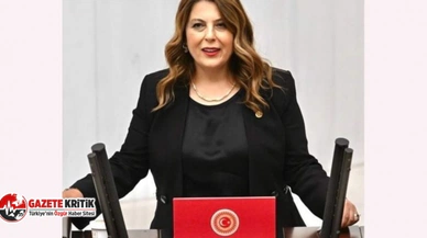 CHP'li Elvan Işık Gezmiş: İlaca erişim her geçen gün zorlaşıyor