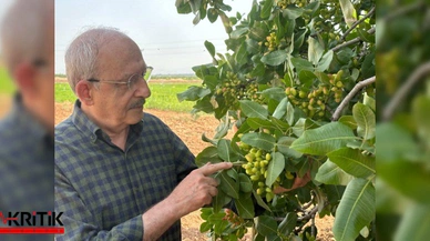 Kılıçdaroğlu, Suriye sınırında bir köy evine misafir oldu