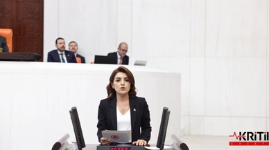 CHP'li Gülcan Kış: 2024 Yılında Kaç Kadın Cinayeti İşlendi?