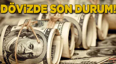 Dolar 5.29, euro 5.98 ve sterlin 6.83 lirada