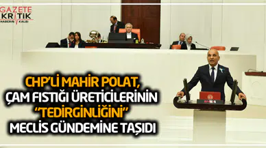 CHP'Lİ MAHİR POLAT,ÇAM FISTIĞI ÜRETİCİLERİNİN 'TEDİRGİNLİĞİNİ' MECLİS GÜNDEMİNE TAŞIDI