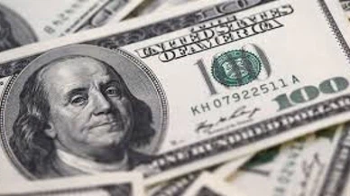 Dolar tarihi rekorunu kırdı
