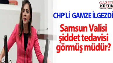 CHP'li Gamze İlgezdi'den önerge: Samsun Valisi şiddet tedavisi görmüş müdür?