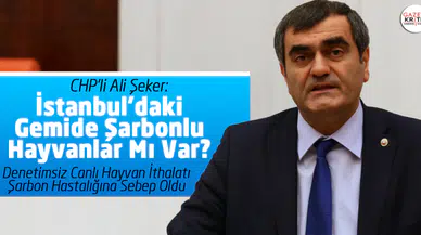 İstanbul'daki Gemide Şarbonlu Hayvanlar Mı Var?