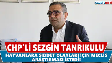 CHP'li Tanrıkulu Hayvanlara Şiddet Olayları İçin Meclis Araştırması İstedi!