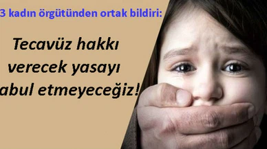 83 kadın örgütünden ortak bildiri: Tecavüz hakkı verecek yasayı kabul etmeyeceğiz!