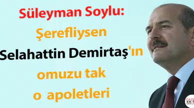 Süleyman Soylu'dan, İnce'ye :Şerefliysen Selahattin Demirtaş'ın omuzuna tak o apoletleri