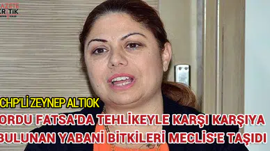 ALTIOK, ORDU FATSA'DA TEHLİKEYLE KARŞI KARŞIYA BULUNAN YABANİ BİTKİLERİ MECLİS'E TAŞIDI