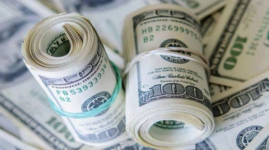 Dolar ne kadar oldu? (31.05.2018)