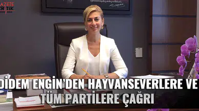 CHP'li Didem Engin : İDARİ PARA CEZASI HAYVAN HAKLARINI KORUMAKTA YETERSİZ