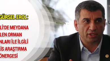 CHP'Lİ GÜRSEL EROL:TUNCELİ'DE MEYDANA GELEN ORMAN YANGINLARI İLE İLGİLİ MECLİS ARAŞTIRMA ÖNERGESİ