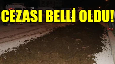 CHP'lilerin kampına tezek dökmüştü...