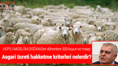 HDP'Lİ MÜSLÜM DOĞAN: Geri dönenlere 300 koyun ve maaş