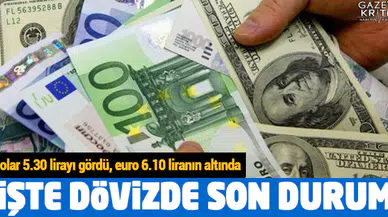 Dolar 5.30 lirayı gördü, euro 6.10 liranın altında