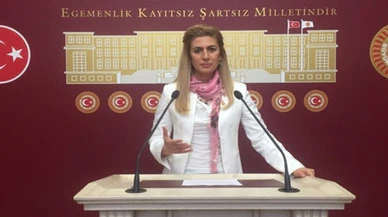 DİDEM ENGİN'DEN VEYSEL EROĞLU'NA: 'İSTANBUL'DA YAĞMUR DUASINA NE ZAMAN ÇIKACAKSINIZ?'
