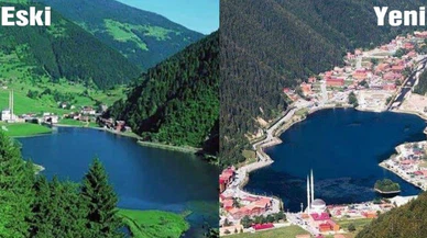 'Doğa harikası olan Uzungöl, şimdi havuzlu siteye döndü!'