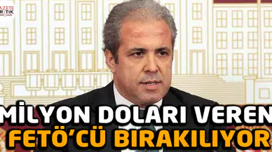Milyon doları veren FETÖ'cü bırakılıyor
