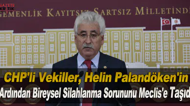 CHP'li Vekiller, Helin Palandöken'in Ardından Bireysel Silahlanma Sorununu Meclis'e Taşıdı