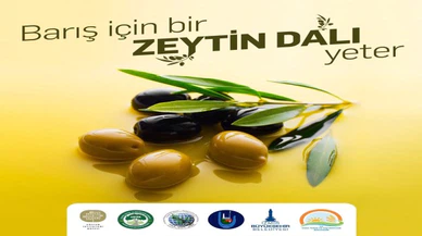 Dünyanın en büyük Zeytinyağı Müzesi açıldı