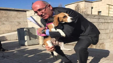 Mahmut Tanal Meclis'e köpek getirdi: Vatandaşlarımızı bu hale köpekler mi yoksa AKP mi getirdi?