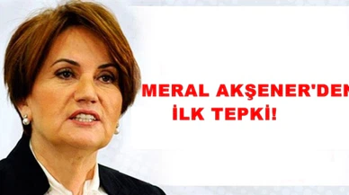 Meral Akşener'den İhraç talebine ilk tepki!