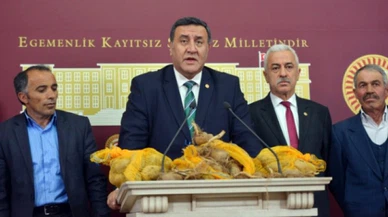 Patates üreticisi kaygılı