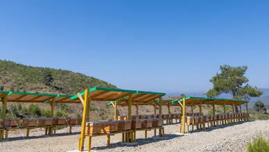 Yenişehir, Türkiye'de bir ilke imza atarak ekolojik tarım ve arı merası kurdu