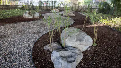 İzmir'de su tasarrufu hedefiyle peyzaj alanları kurakçıl bitkilerle güzelleştiriliyor