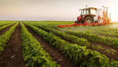 Tarım Ürünleri Üretici Fiyat Endeksi Şubat'ta yüzde 40,10 arttı