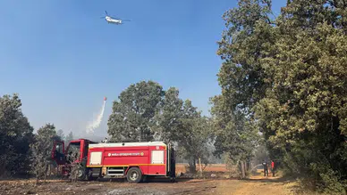 Muğla'daki orman yangınına müdahale, hayvanlar için acil yardım seferberliğiyle desteklendi