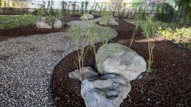 İzmir'de su tasarrufu hedefiyle peyzaj alanları kurakçıl bitkilerle güzelleştiriliyor