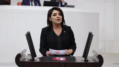 CHP'li Gülcan Kış, yatırım fonlarındaki likidite krizini Meclis gündemine taşıdı