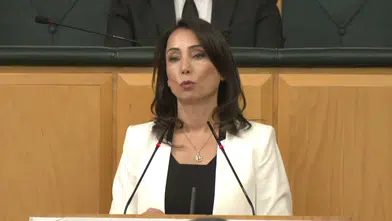 DEM Parti Eş Genel Başkanı Tülay Hatimoğulları: Epstein dosyalarında Türkiye'nin adı geçiyor, soruşturma şart!