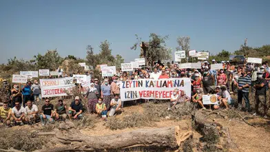 CHP'li Mahmut Tanal: Zeytin Dalı Kesilmesi Geleceği Yok Eder