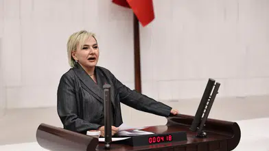 CHP'li Nimet Özdemir: Hayvanlara yapılan zulüm, toplumsal şiddeti besliyor!