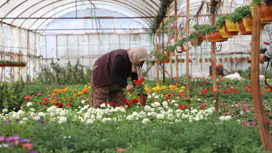 Muğla’da Üretici Kadınlar ve Çiftçi Kadın Meclisi İçin İlk Adım Ortaca’da Atıldı