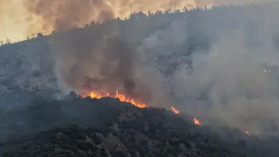Antalya'da Alevlerle Amansız Mücadele: Kaş Yangınında Son Durum!