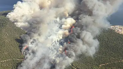 Muğla'da Kavaklıdere, Milas ve Ortaca'da 3 ayrı orman yangını