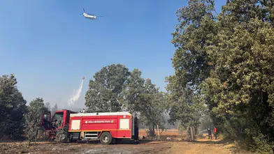 Muğla'daki orman yangınına müdahale, hayvanlar için acil yardım seferberliğiyle desteklendi
