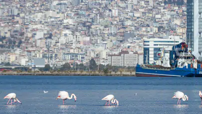 İzmir, deprem riskiyle mücadelede "İzmir Yenileniyor" projesiyle yenileniyor!
