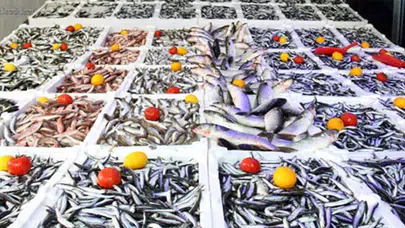 Güncel balık fiyatları ne kadar? Kuzu fiyatına…